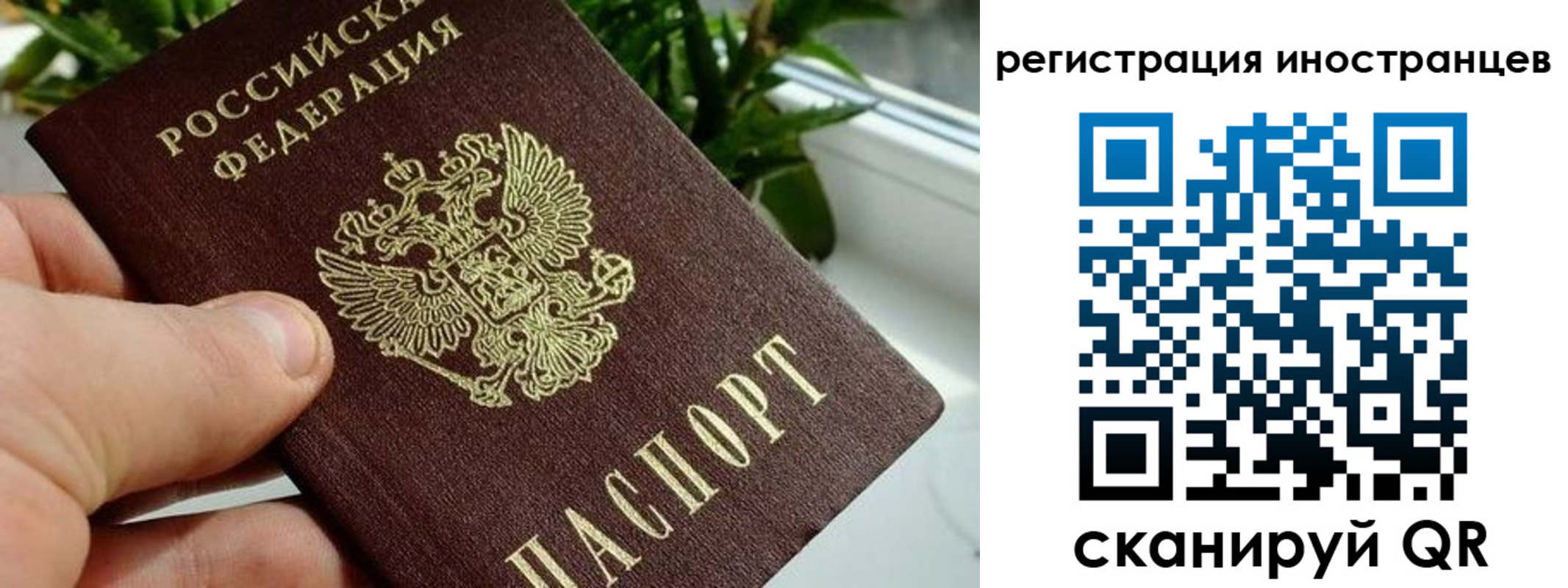 регистрация в Чехове